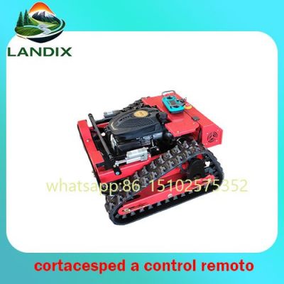 Desbrozadora con mando a distancia precio